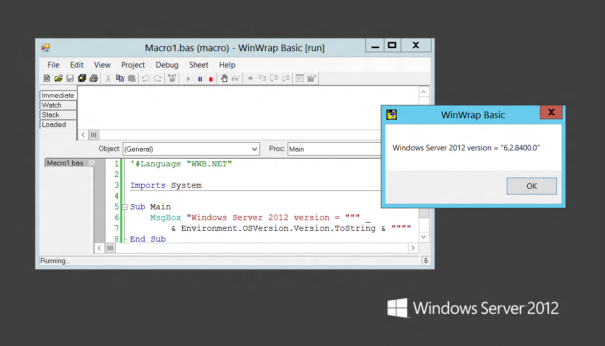 WinWrap® Basic CSharp Application running a WinWrap® Basic macro on Windows Server 2012